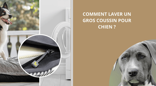 COMMENT LAVER UN GROS COUSSIN POUR CHIEN? - Wouf chien