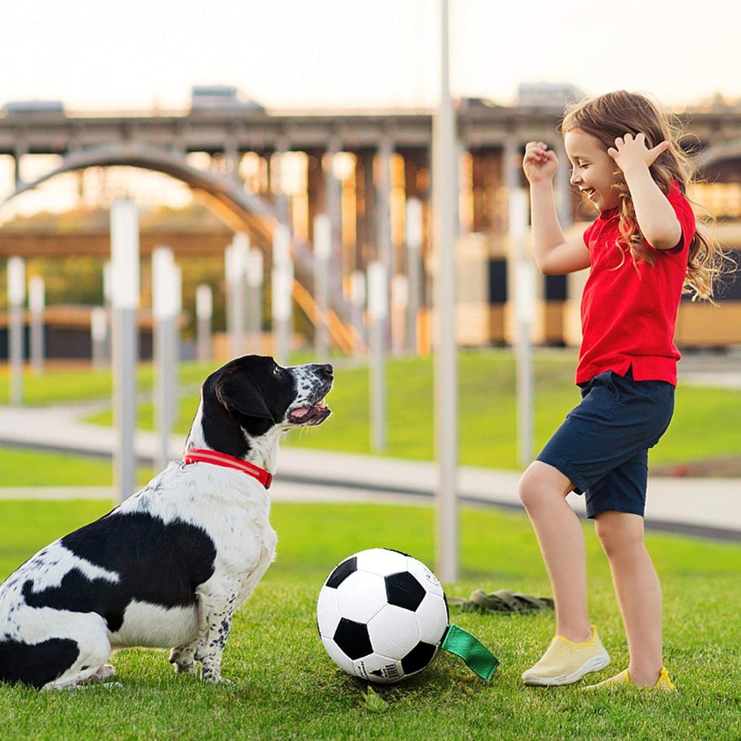 ballon-pour-chien-famille
