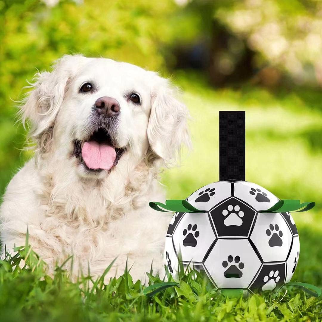 ballon-pour-chien-jeu