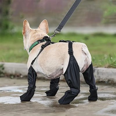 bottes-pour-chien-promenade