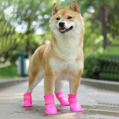 chaussure-pour-chien-impermeable