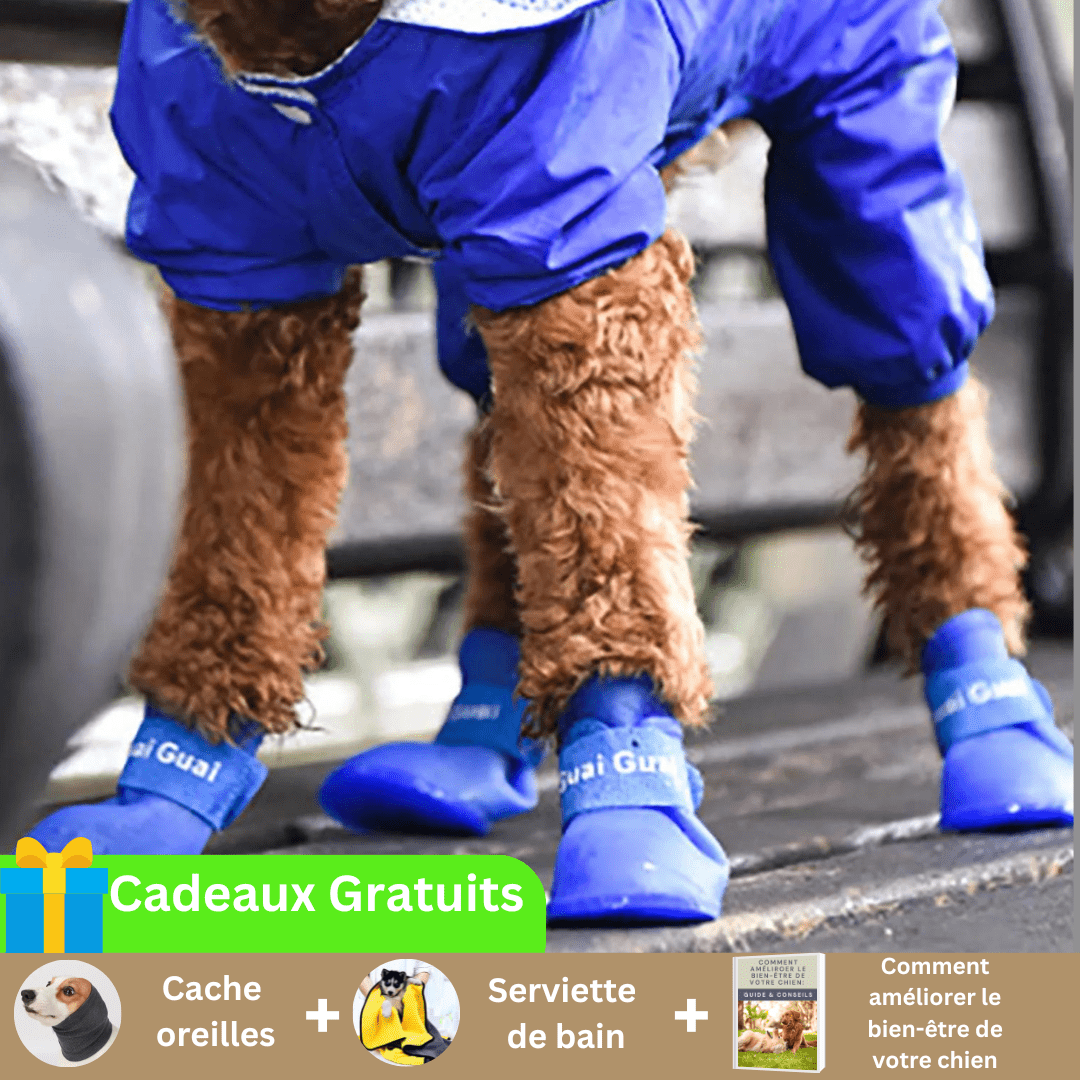 CHAUSSURE POUR CHIEN | Petboots™ - Wouf chien