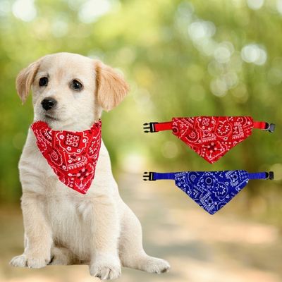 collier-bandana-chien-coloris