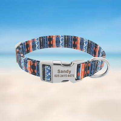 collier-pour-chien-personnalise-doux