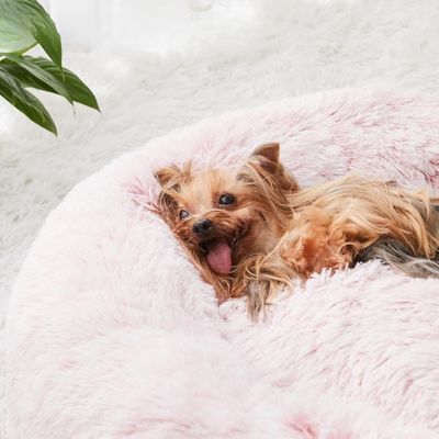 couchage-chien-confortable