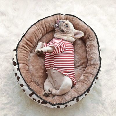 couchage-pour-chien-douillet