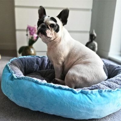 couchage-pour-chien-moelleux
