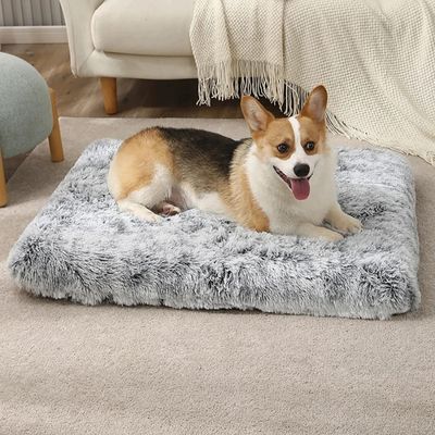 coussin-chien-confort