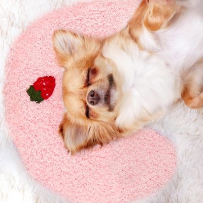coussin-chien-rose