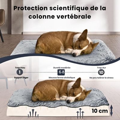 coussin-chien-vertebre