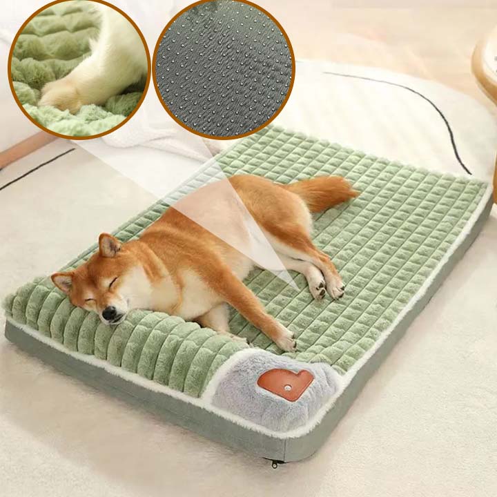 COUSSIN POUR CHIEN | Suavbed™ - Wouf chien