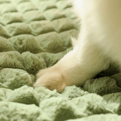 COUSSIN POUR CHIEN | Suavbed™ - Wouf chien