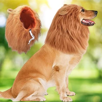 deguisement-pour-chien-contour