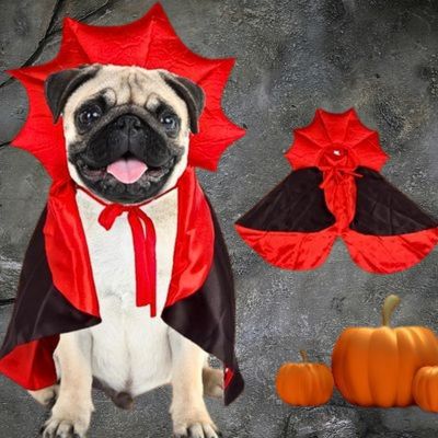 deguisement-pour-chien-design