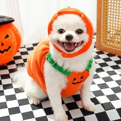 deguisement-pour-chien-leger