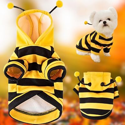 deguisement-pour-chien-style