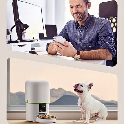 distributeur-de-croquettes-visuel