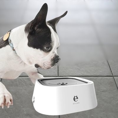 gamelle-anti-debordement-chien-plancher