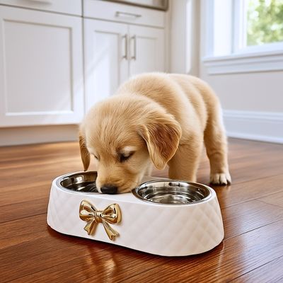 gamelle-pour-chien-chiot