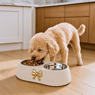 gamelle-pour-chien-cuisine