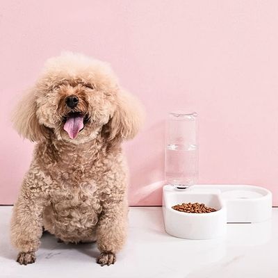 gamelle-pour-chien-gros