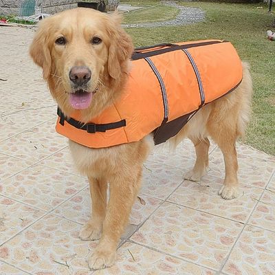 gilet-de-sauvetage-chien-vacances