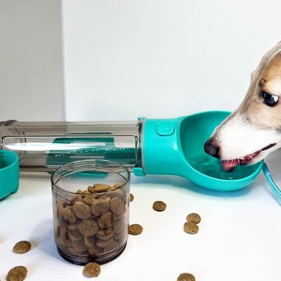 gourde-chien-hydra
