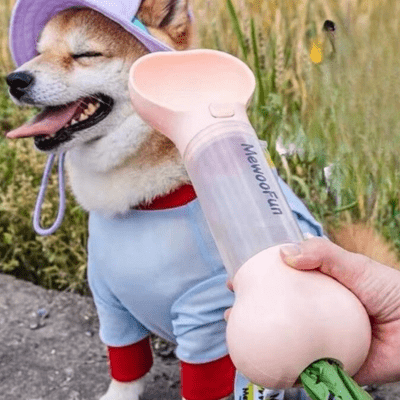 GOURDE CHIEN | Os - Wouf chien