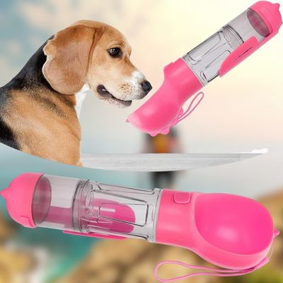 gourde-chien-soif