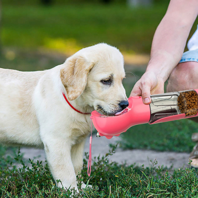 gourde-chien-utile