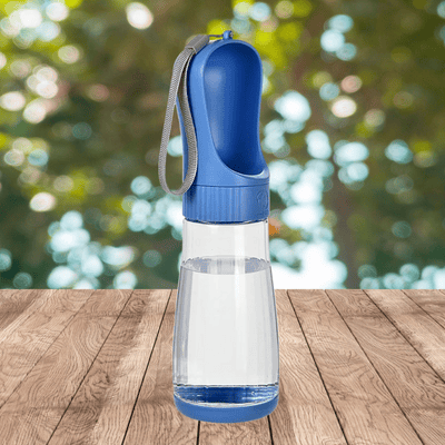 gourde-pour-chien-avantage