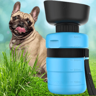 gourde-pour-chien-bleue