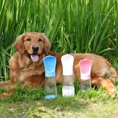 gourde-pour-chien-couche