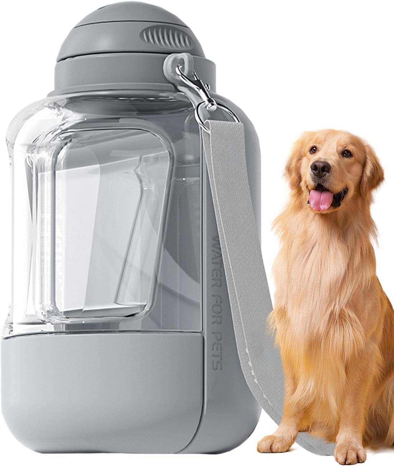 gourde-pour-chien-gris