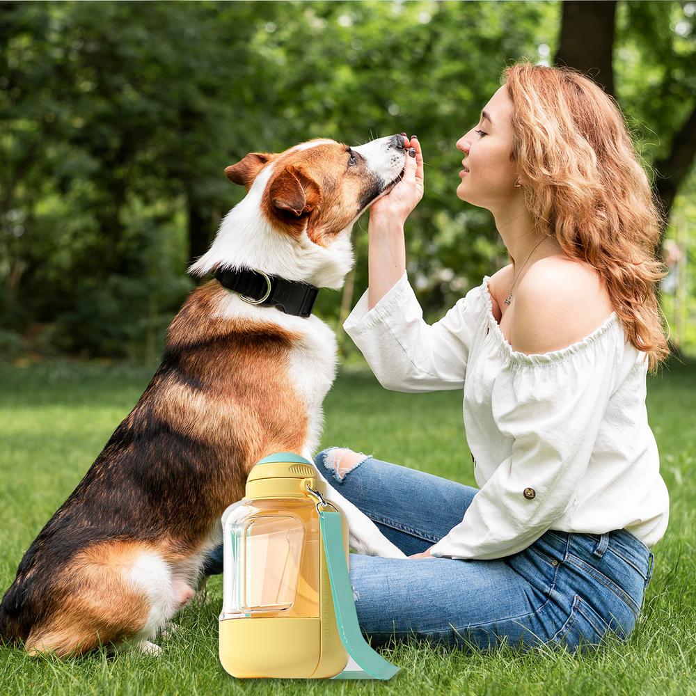 gourde-pour-chien-heureux