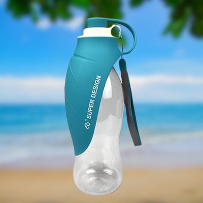 gourde-pour-chien-plage