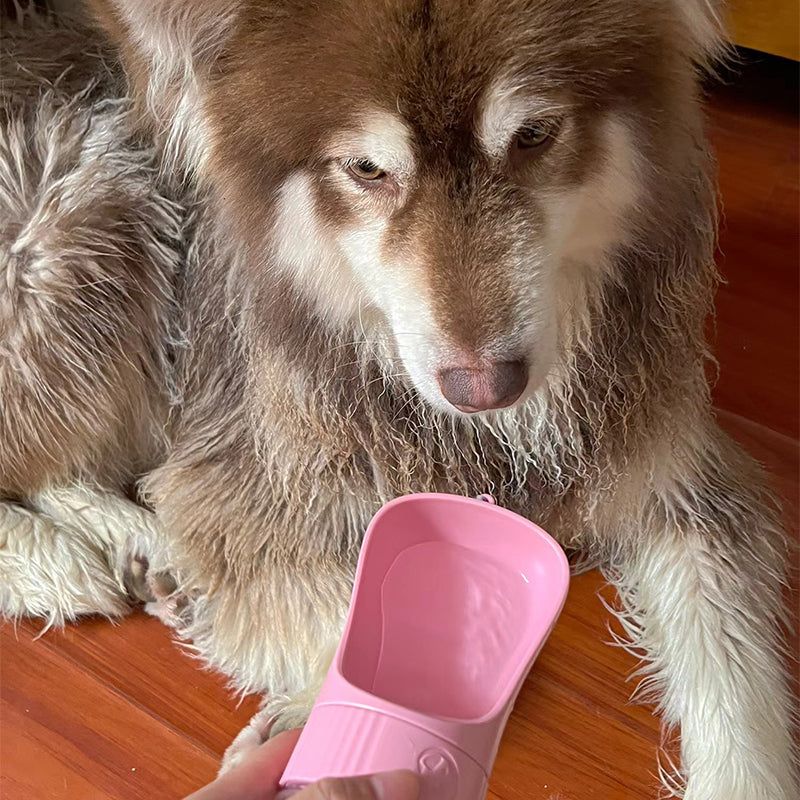 gourde-pour-chien-potable