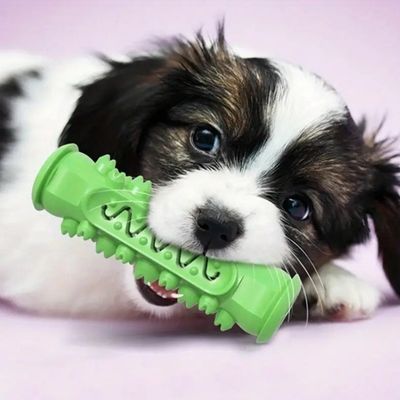 jouet-chien-anxiete