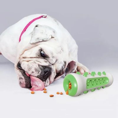 jouet-chien-croquettes