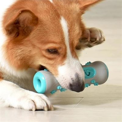 jouet-chien-depense