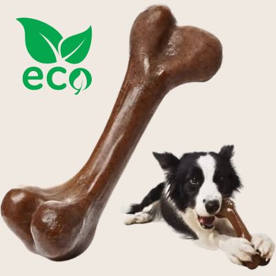 jouet-chien-environnement