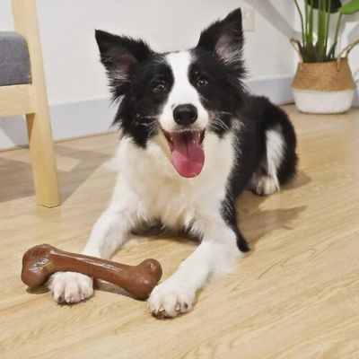 jouet-chien-fibre