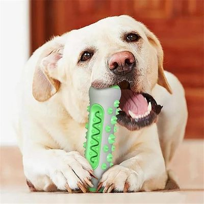 jouet-chien-stress