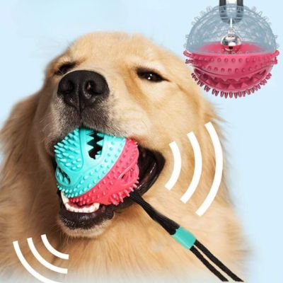 jouet-pour-chien-divertissant