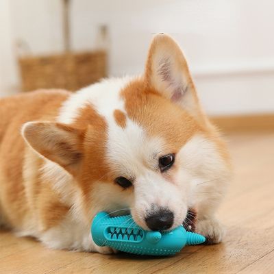 jouet-pour-chien-enjoue