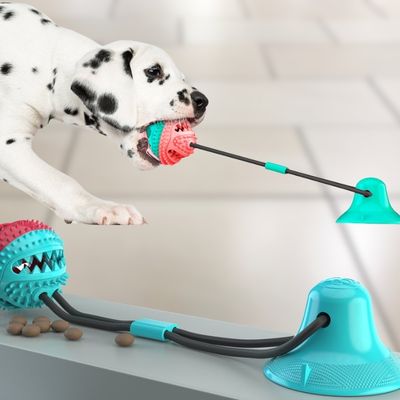 jouet-pour-chien-tirer