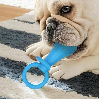 jouets-pour-chiots-bleu