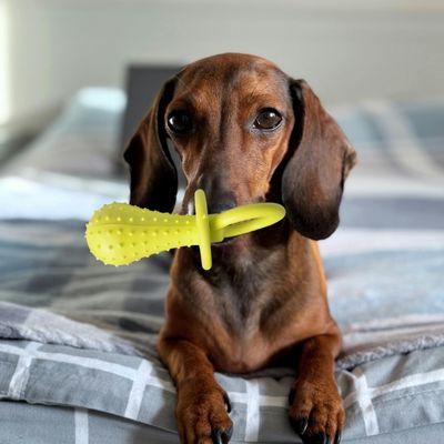 jouets-pour-chiots-jaune