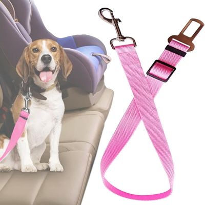 laisse-chien-rose