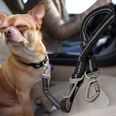 laisse-chien-securitaire